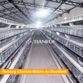 Galvanized Q235 Steel Material Poultry Layer Farming Equipment in Nigeria